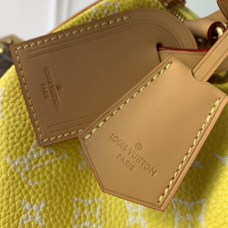 LV Travel Bags